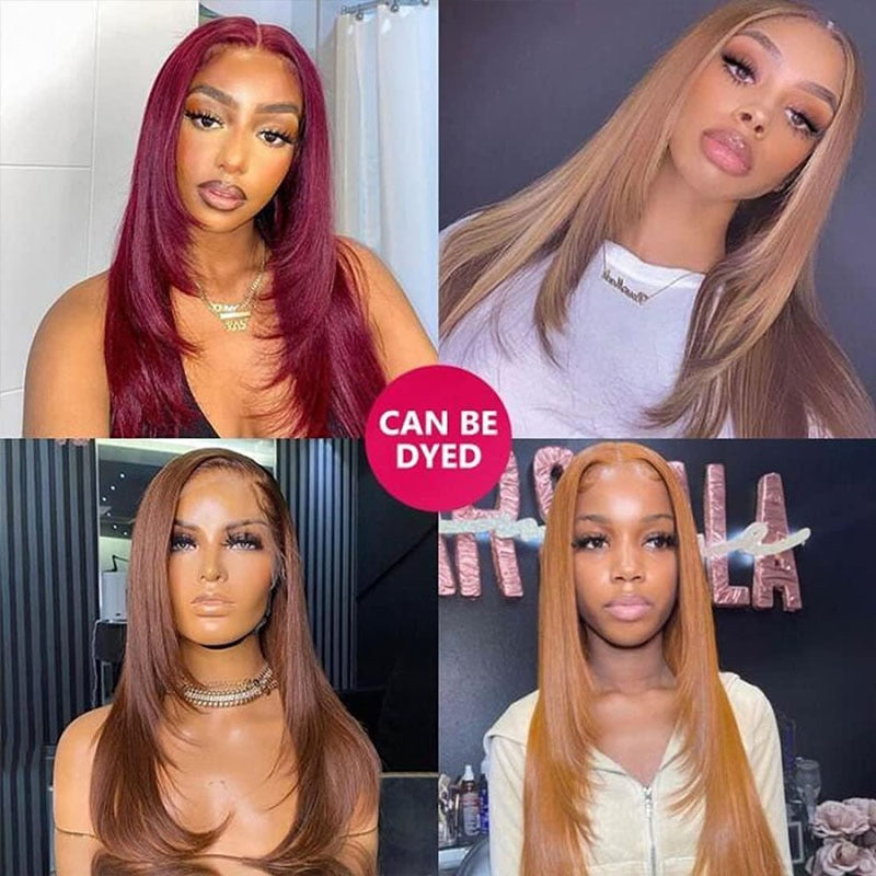 Straight Lace Front Wig